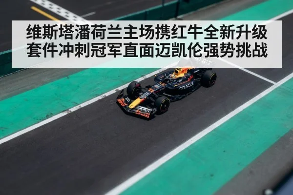 Max Verstappen Dutch Grand Prix